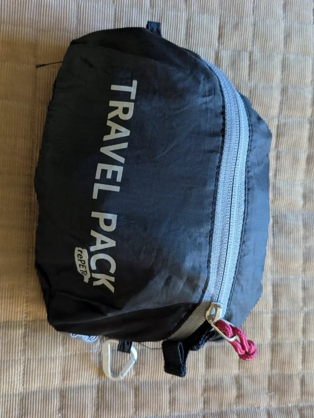ChicoBag Mono Lake Packable Backpack